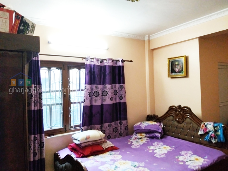 House on Sale at Pepsicola Barah Shutters 
